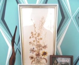 herbier ancien  encadré