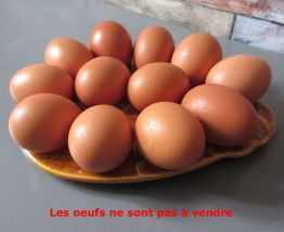 1 présentoir ancien pour 12 œufs en faïence années 50