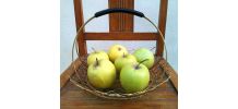 Jolie panière à fruits en métal doré