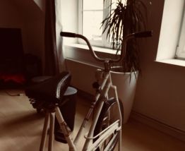 Vélo d'appartement Vintage,