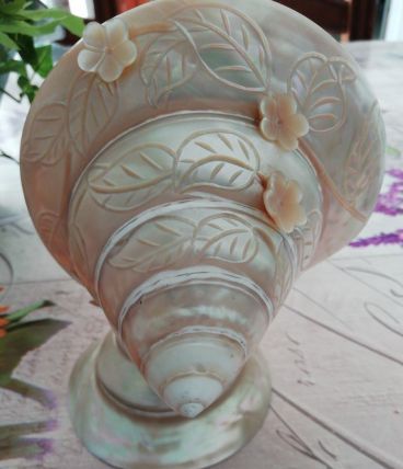 Coquillage 