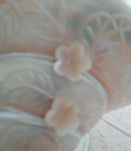 Coquillage 