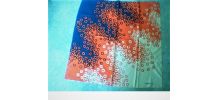  foulard Guillemin Paris