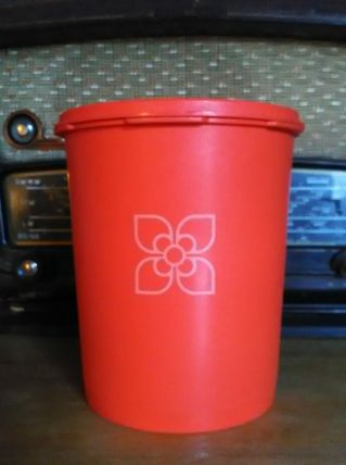 Boite Tupperware orange - Fleur