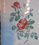 Plat à brioches faience Courseulles Salins