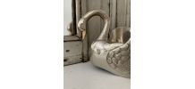 Vide poche cygne