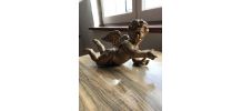Angelot en bois doré 
