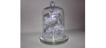 cloche en verre ancienne