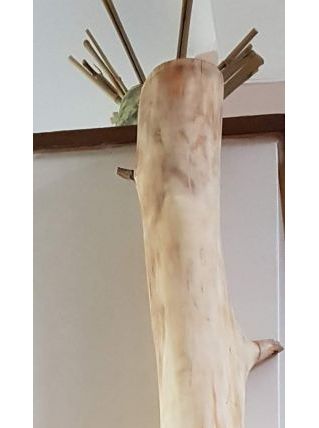 Lampe résine et bois