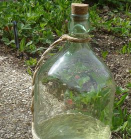 dame jeanne en verre