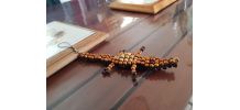 Crocodile 
