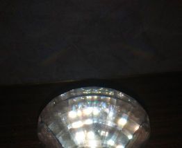 Figurine coquillage cristal swarovsky 