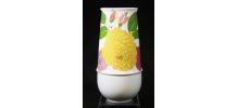 Vase floral conique porcelaine rosenthal 