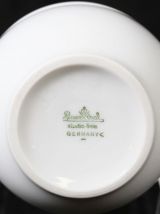 Vase floral conique porcelaine rosenthal 