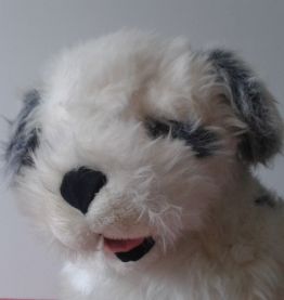  Peluche: gros chien