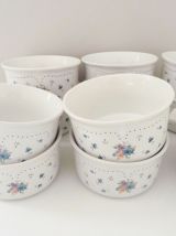 Lot de 10 raviers et une cocotte en céramique 