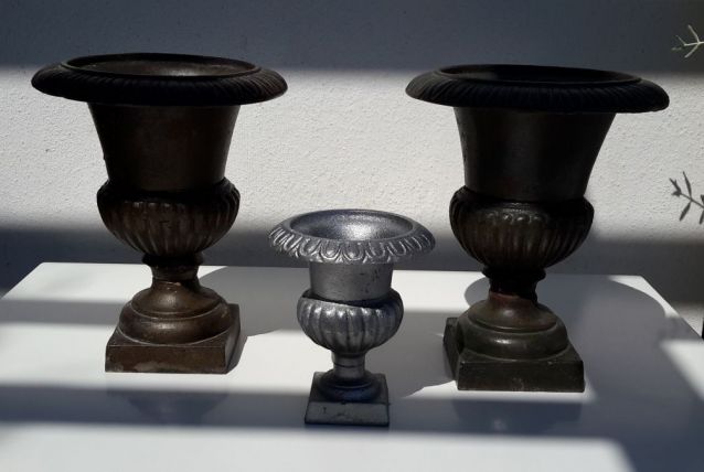 Coupes Medicis