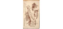 photo ancienne femme au chignon vers 1900