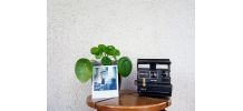 Polaroïd Spirit - Séries 600