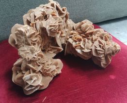 Roses des Sables très bien formées 