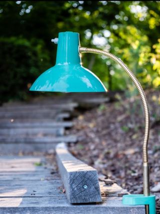 Lampe col de cygne