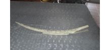Ancienne corne elephant
