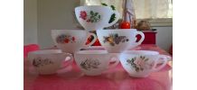 6 TASSES FLEURIES ARCOPAL AVEC SOUS TASSES ASSORTIES