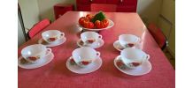 SERVICE THE ARCOPAL COQUELICOT
