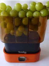 Balance Terraillon 4000 orange