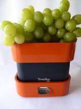 Balance Terraillon 4000 orange