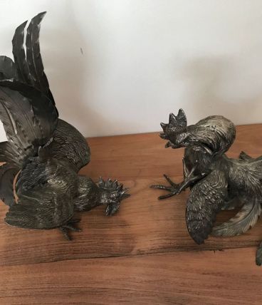 Coqs de combat