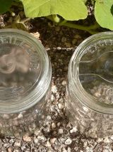 Lot de 2 bocaux  anciens en verre  , vintage