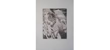 Gravure originale signée G. GIANNINI Alice au pays des M