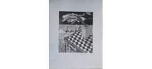 Gravure originale signée G. GIANNINI Alice au pays des M