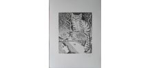 Gravure originale signée G. GIANNINI Alice au pays des M