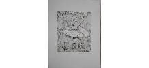 Gravure originale signée G. GIANNINI Alice au pays des M