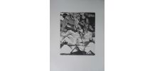 Gravure originale signée G. GIANNINI Alice au pays des M