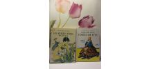 lot 2 bibliothèque rose Comtesse de Ségur 