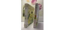lot 2 bibliothèque rose Comtesse de Ségur 