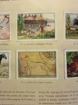 album images collection Nestlé/Kohler 1954-55