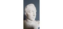 buste en plâtre blanc Albert roi des belges