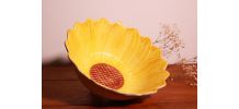 Saladier Tournesol