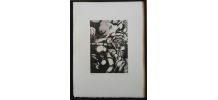 Gravure signée, numérotée, Giovanni Giannini pour Edgar Poe