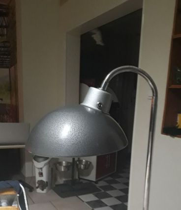 lampe atelier dessinateur 1950