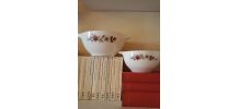 2 bols Pyrex France rare motif Eglantines 1960
