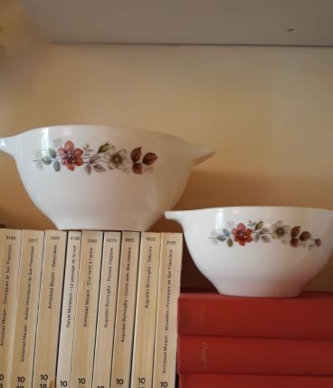 2 bols Pyrex France rare motif Eglantines 1960