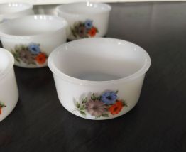 Lot de 6 ramequins Arcopal modèle volubilis