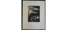 Gravure signée, numérotée, G. Giannini pour Edgar Poe