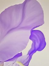 Peinture à l'huile "Iris" 