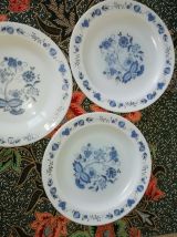 Assiettes à dessert Arcopal Fleurs bleues